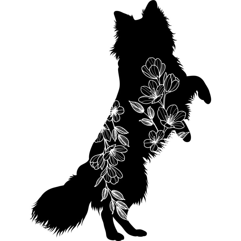 Border Collie with flowers