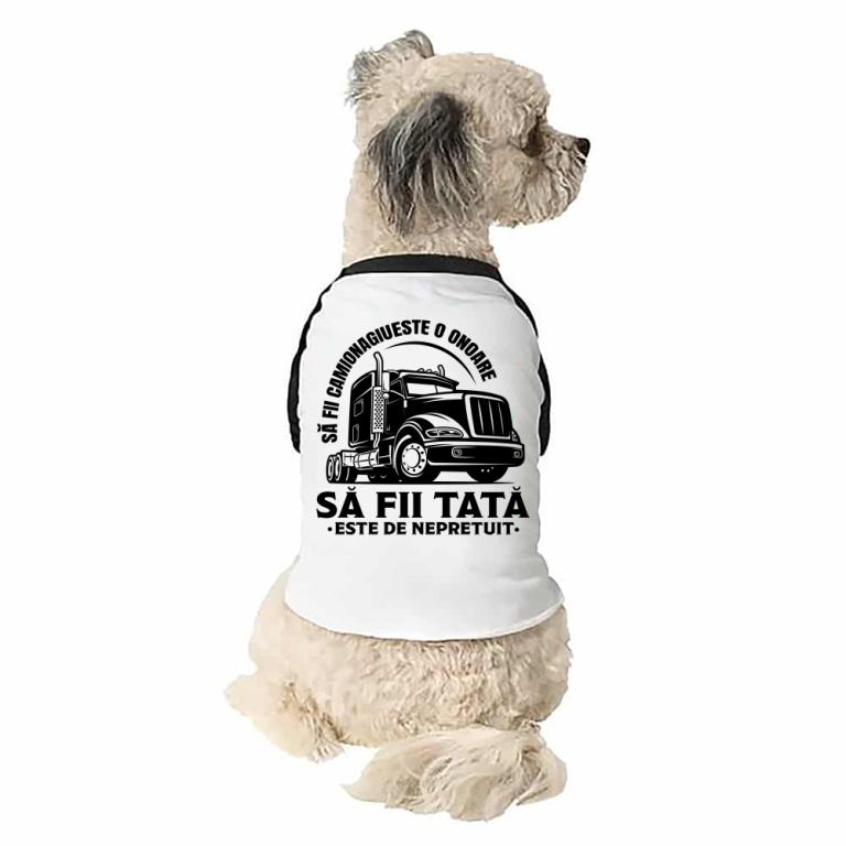 Să fii camionagiu este o onoare