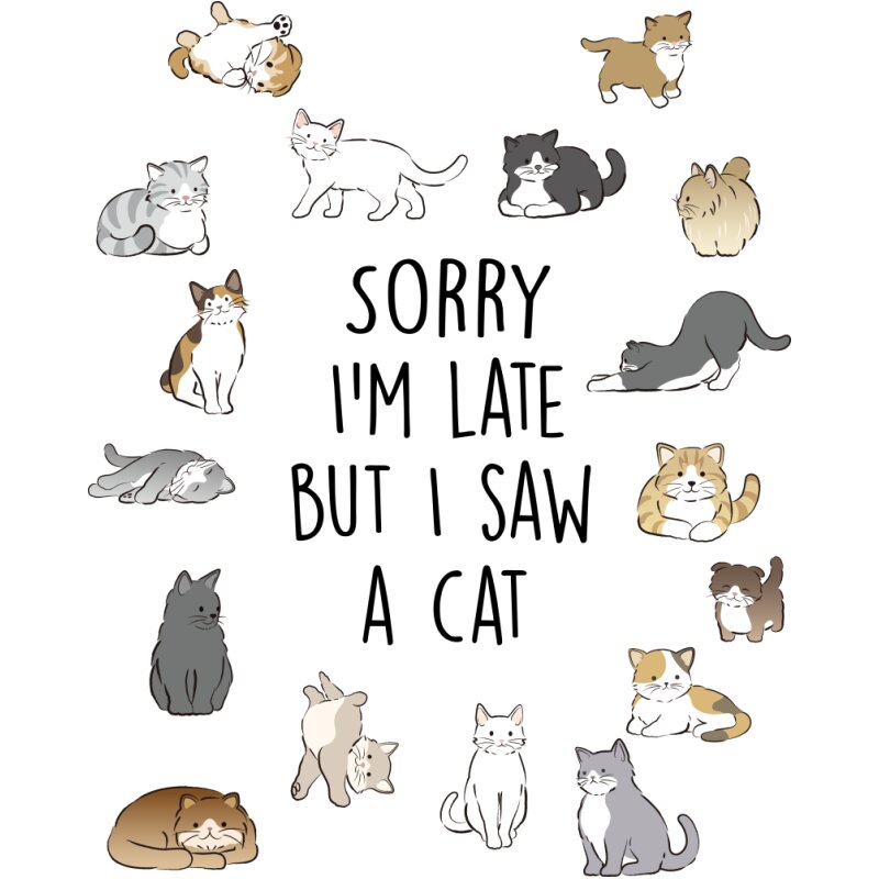 I saw a cat