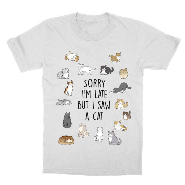 I saw a cat
