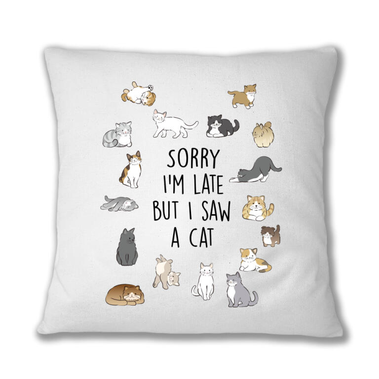 I saw a cat
