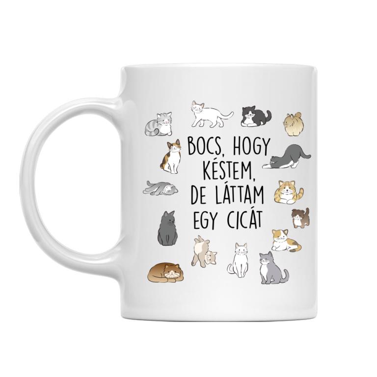 Láttam egy cicát