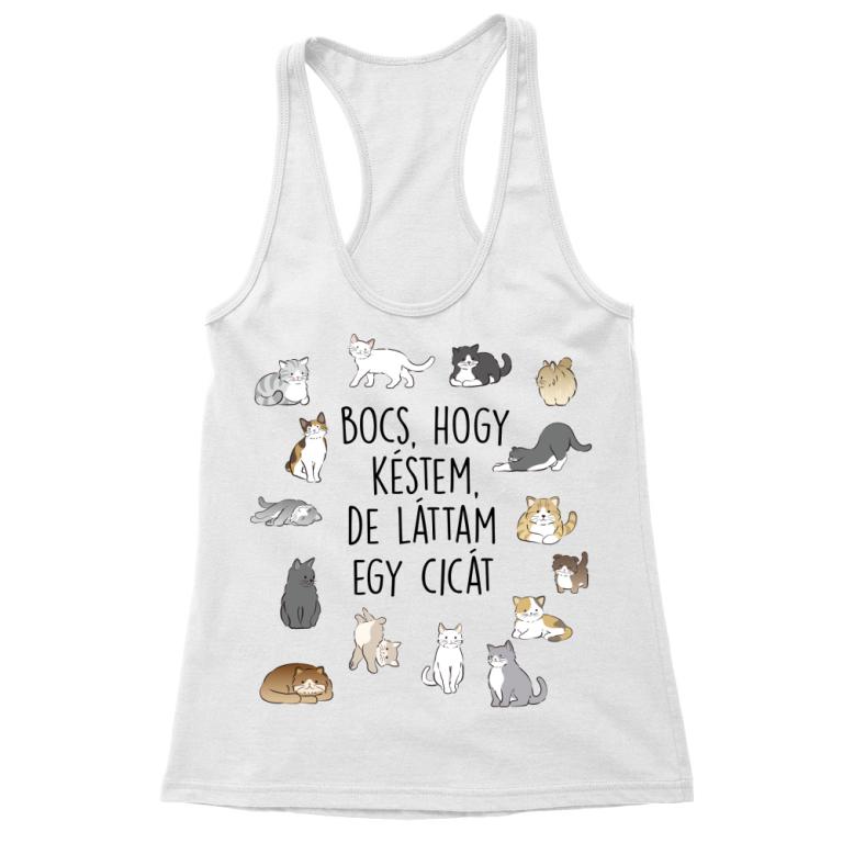 Láttam egy cicát