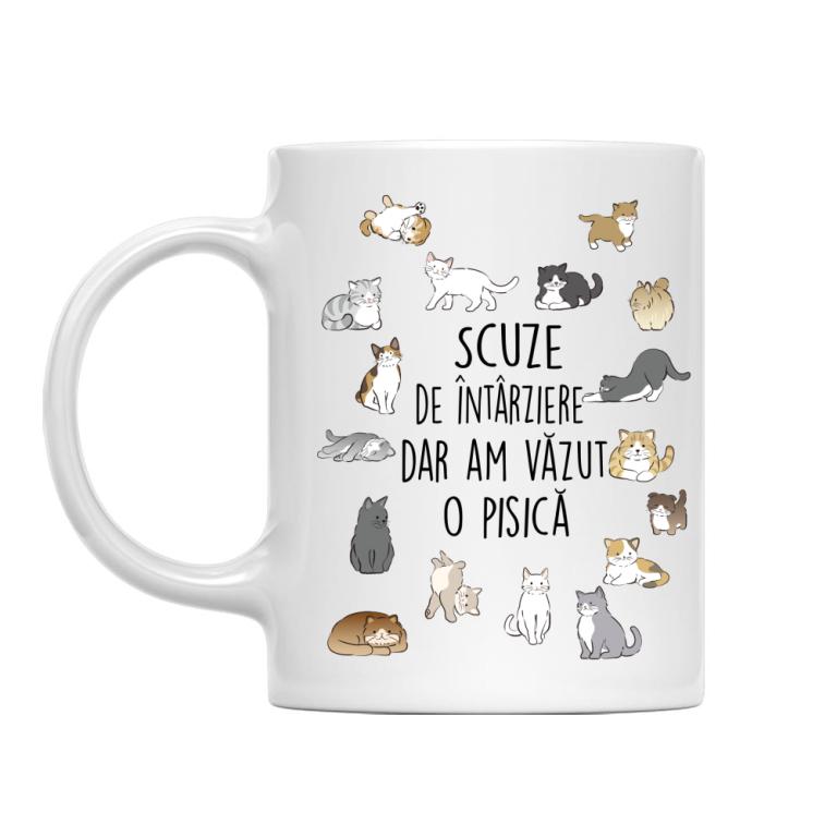 Am văzut o pisică