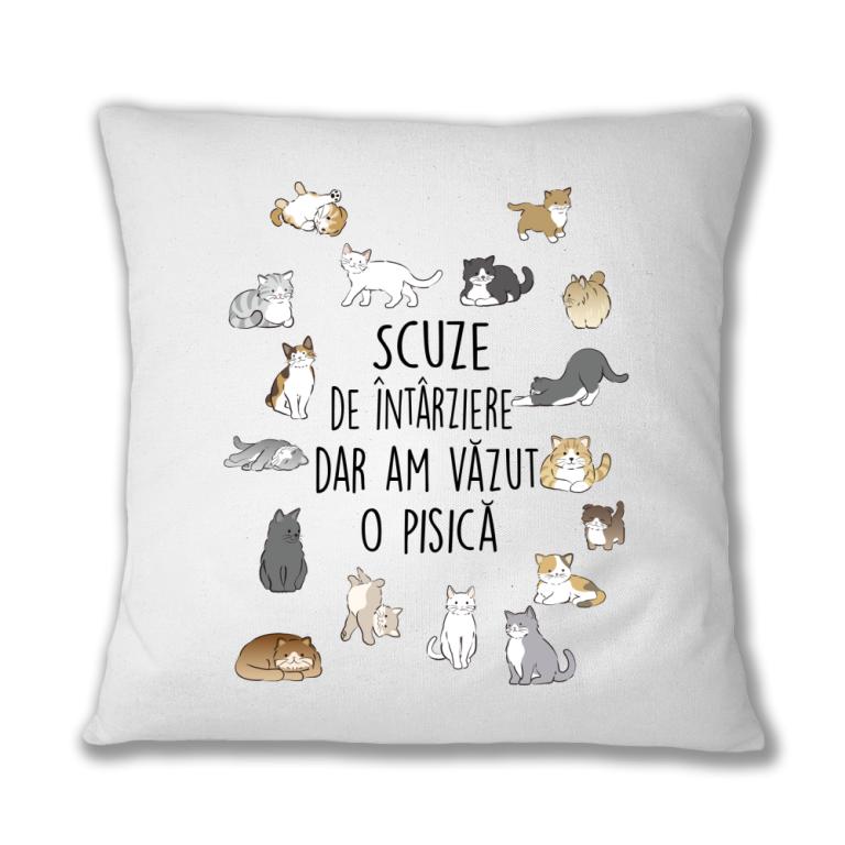 Am văzut o pisică