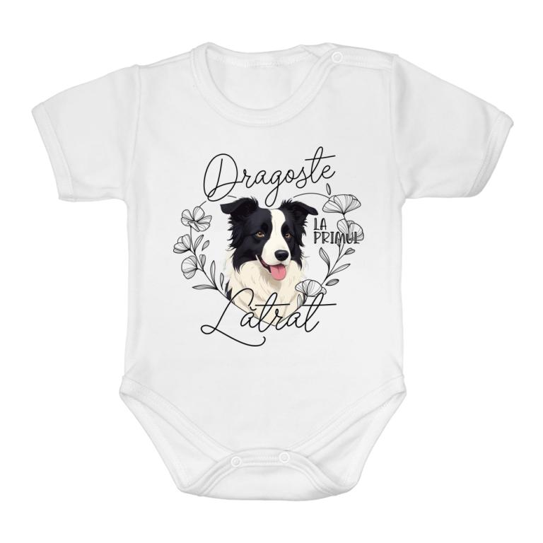 Primul lătrat - Border Collie