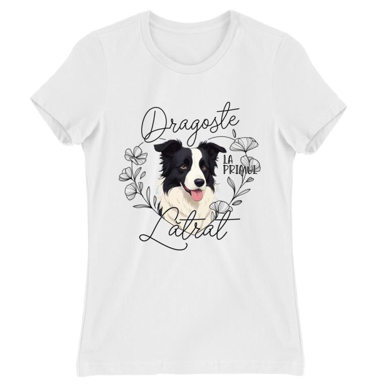 Primul lătrat - Border Collie