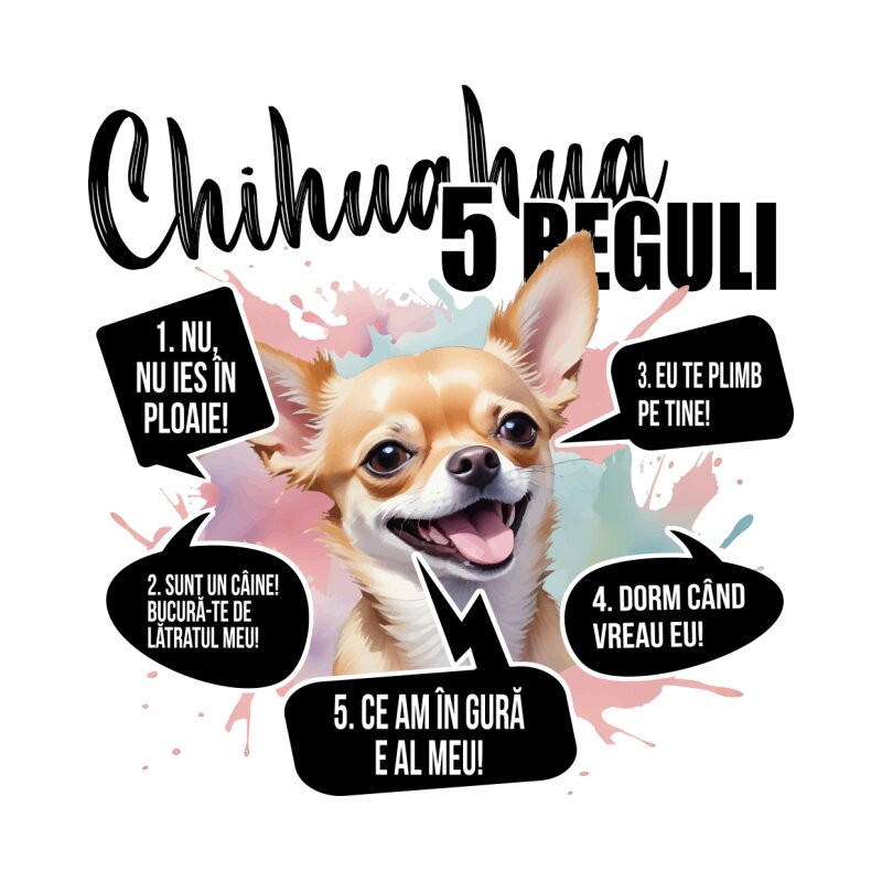 5 Reguli - Chihuahua