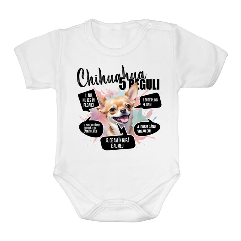 5 Reguli - Chihuahua