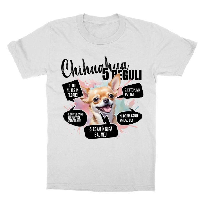 5 Reguli - Chihuahua