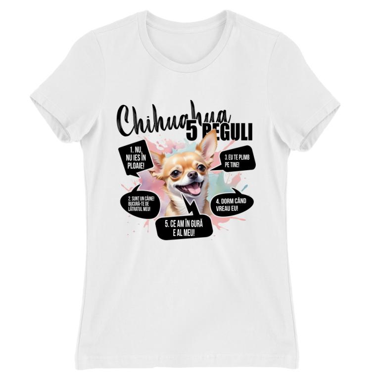 5 Reguli - Chihuahua