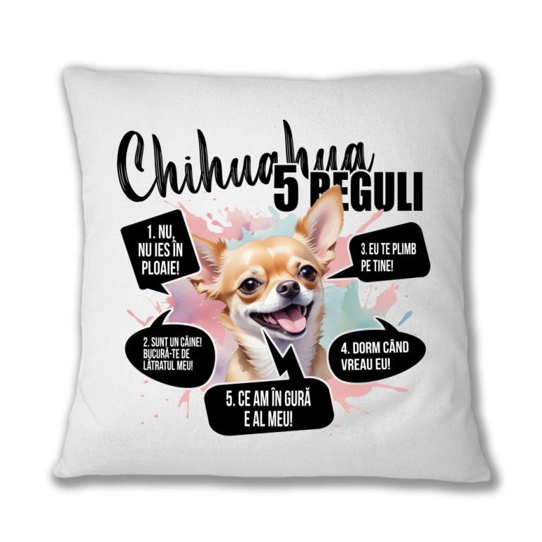 5 Reguli - Chihuahua