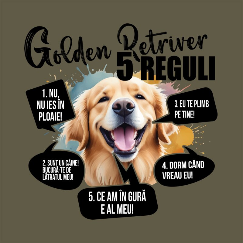 5 reguli - Golden Retriver