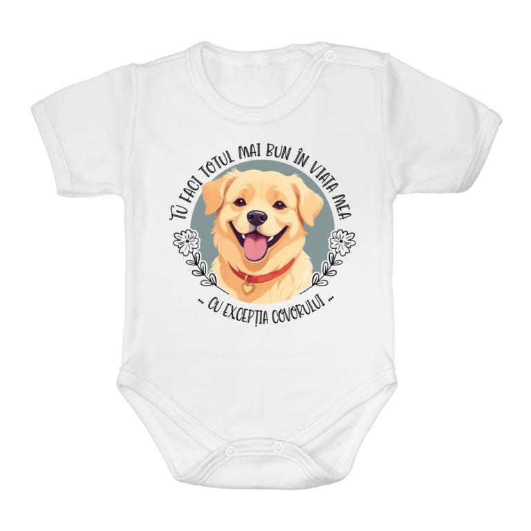 Covor - Golden Retriever