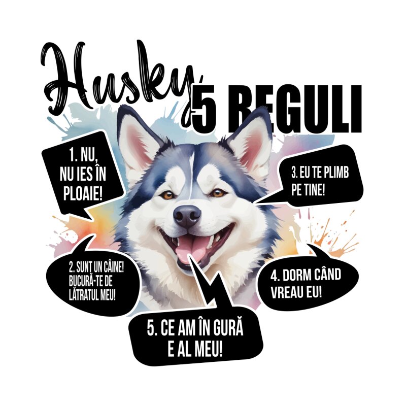 5 Reguli - Husky