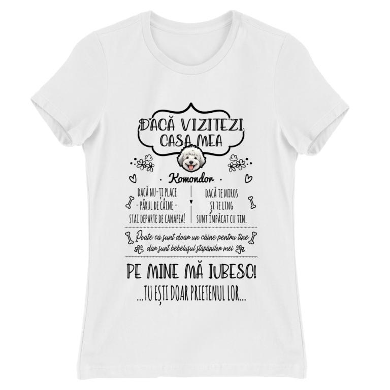 Când mă vizitezi - Komondor