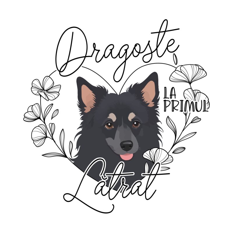Dragoste la primul - Mudi