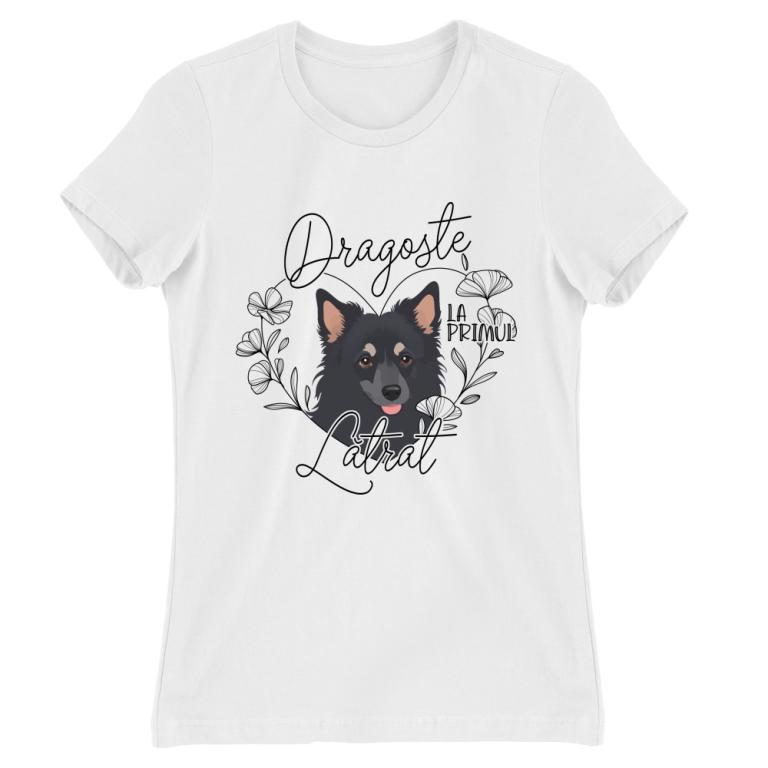 Dragoste la primul - Mudi