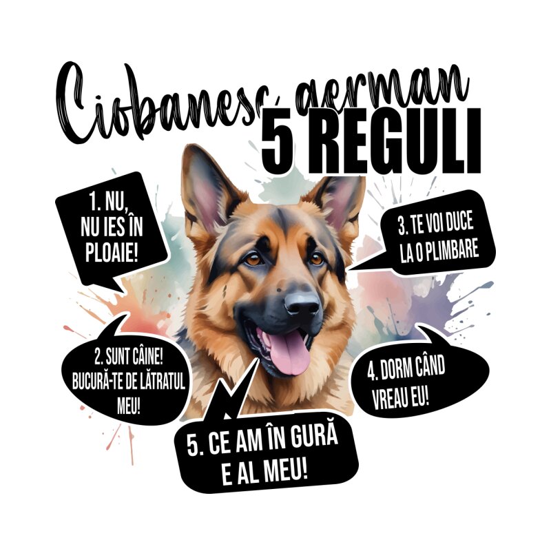 5 reguli - Ciobănesc german