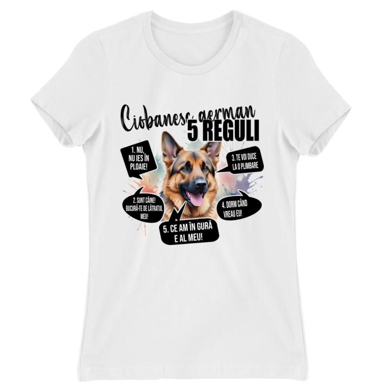 5 reguli - Ciobănesc german