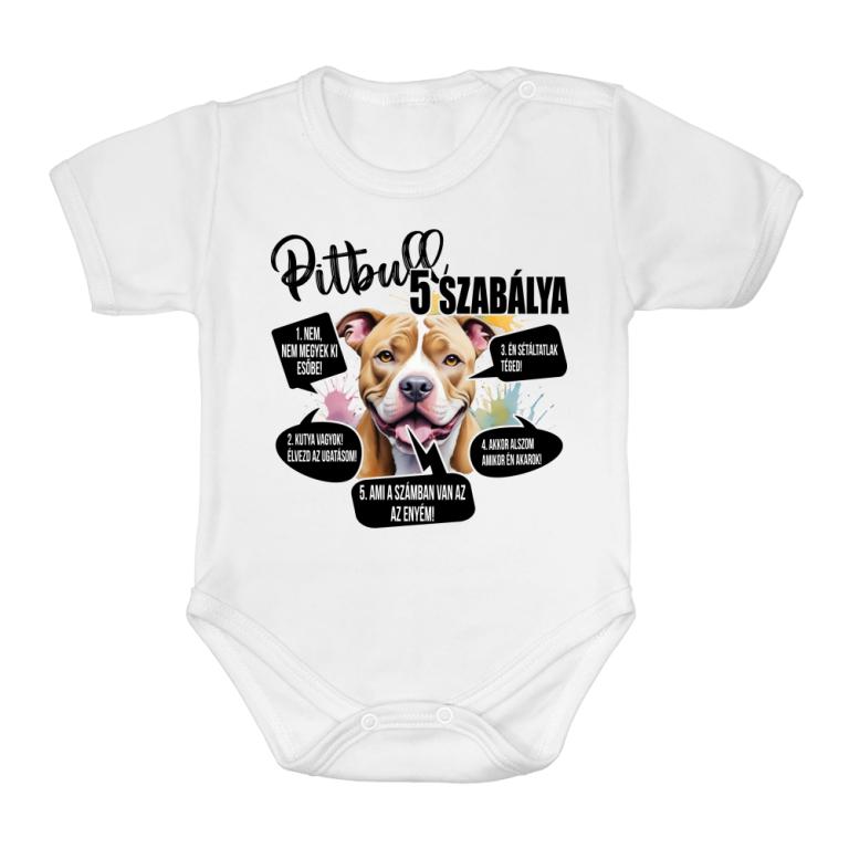 5 szabály - Pitbull