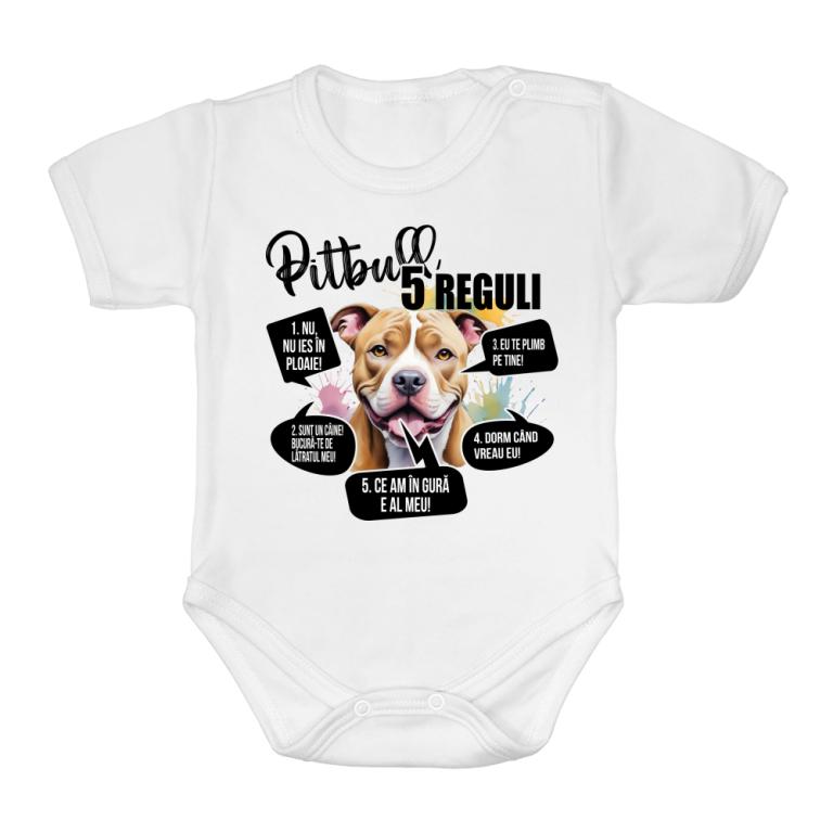 5 Reguli - Pitbull