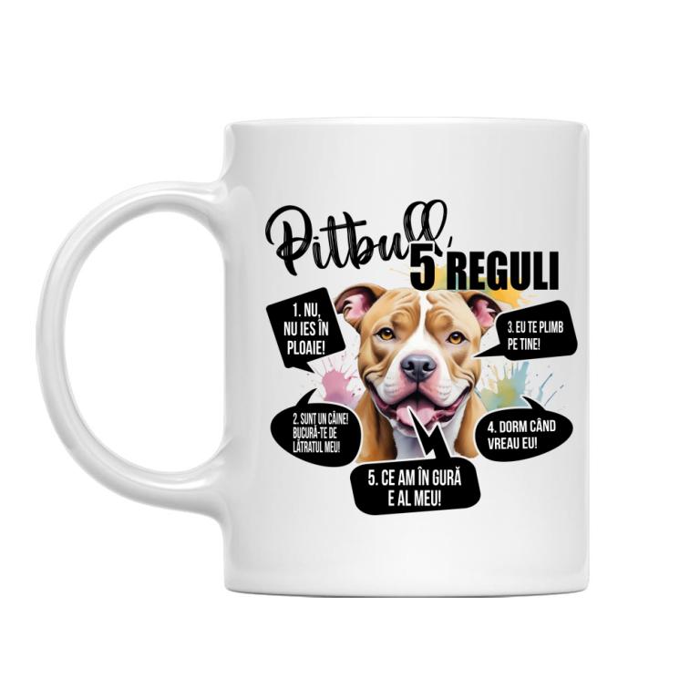 5 Reguli - Pitbull