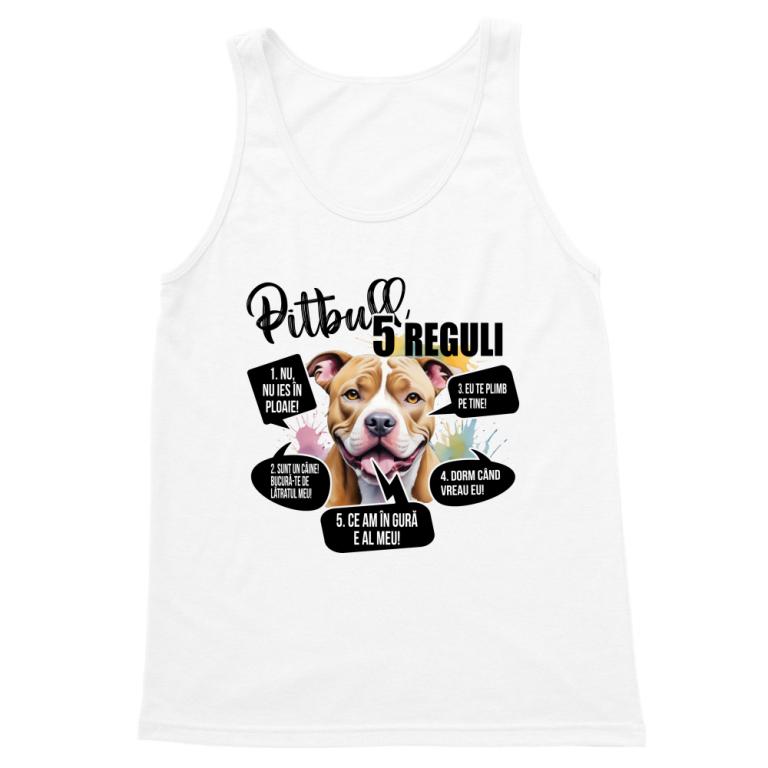 5 Reguli - Pitbull