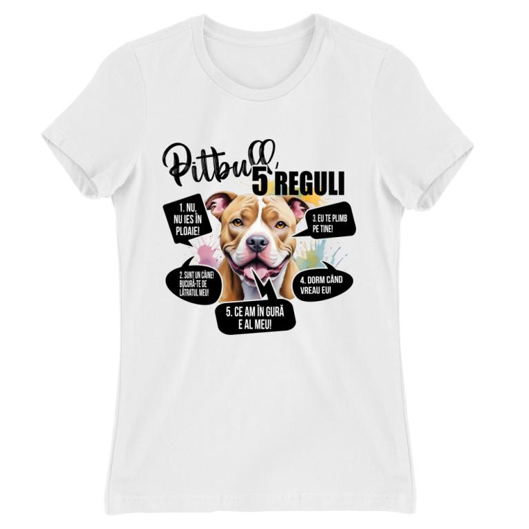 5 Reguli - Pitbull