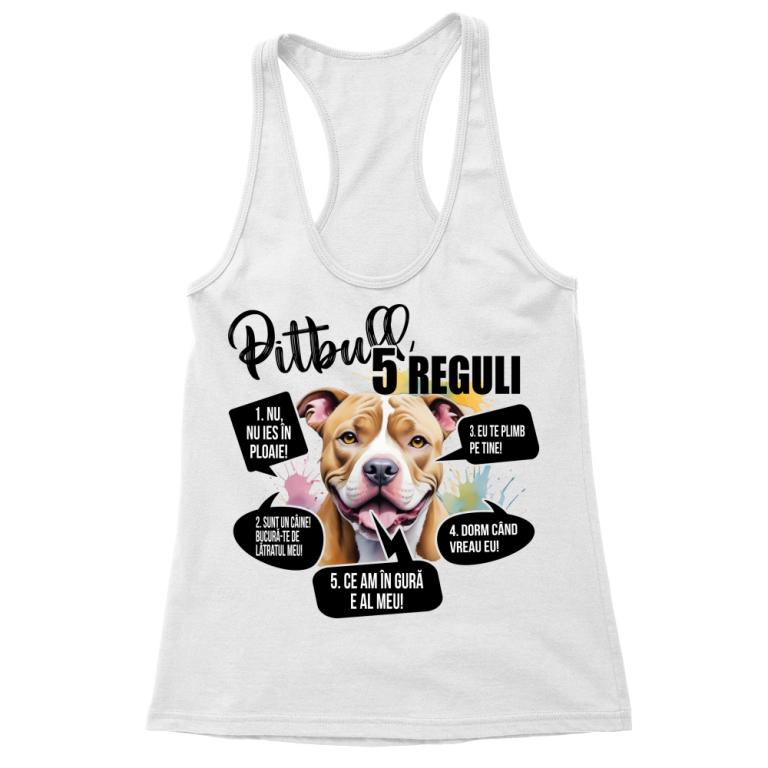 5 Reguli - Pitbull