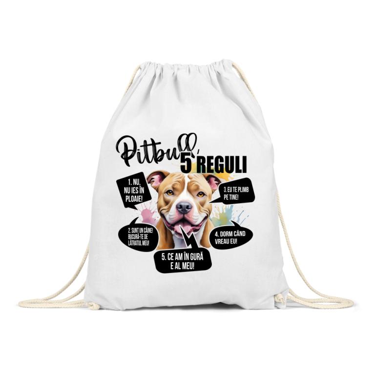 5 Reguli - Pitbull