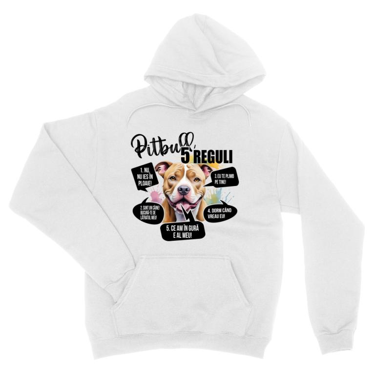 5 Reguli - Pitbull