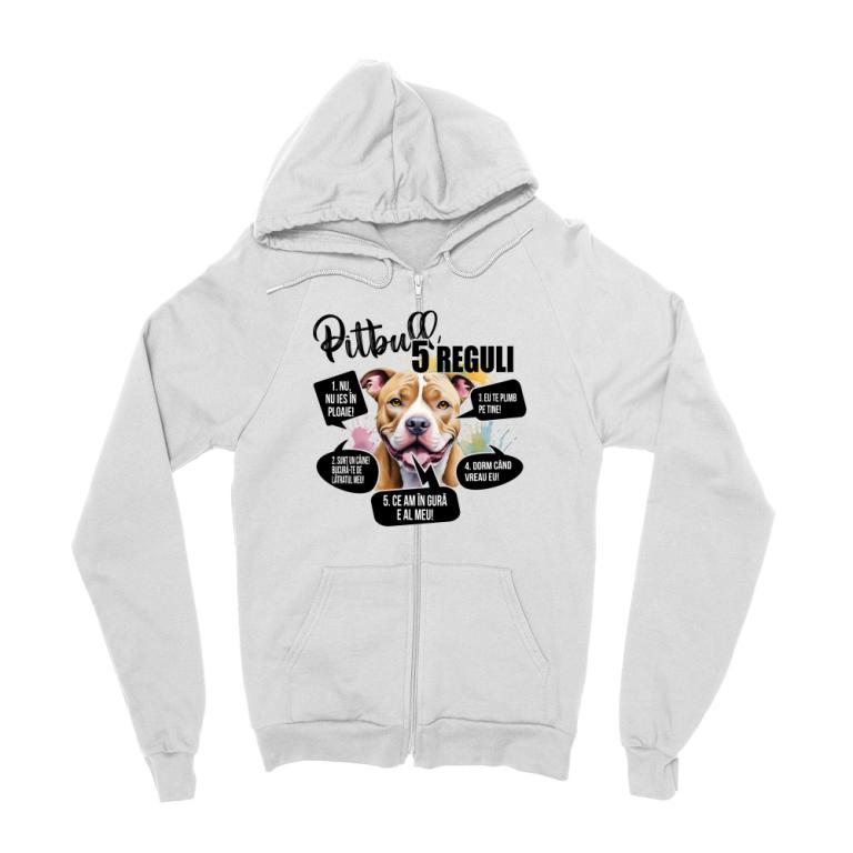 5 Reguli - Pitbull