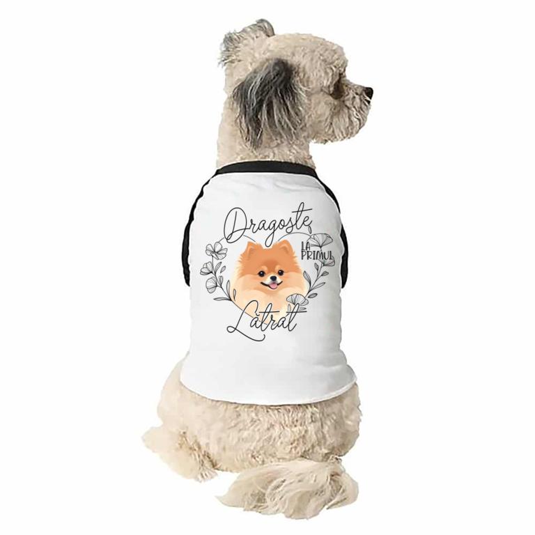 Dragoste la primul - Pomeranian