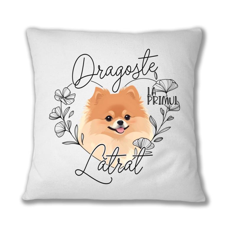 Dragoste la primul - Pomeranian