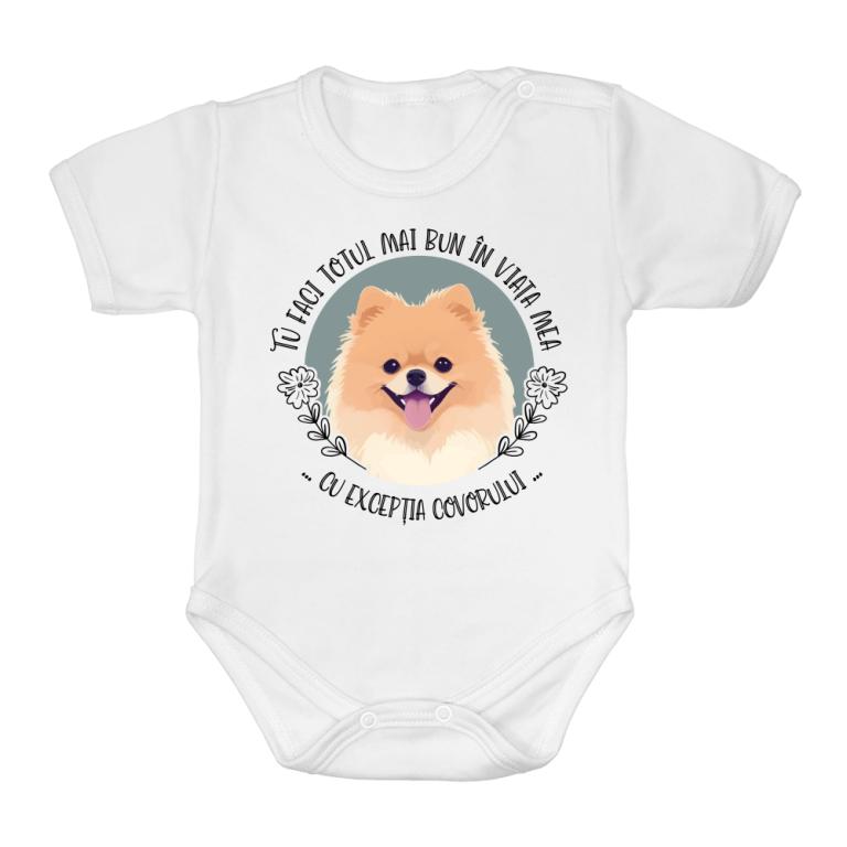 Covor - Pomeranian