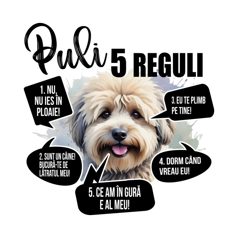 5 Reguli - Puli