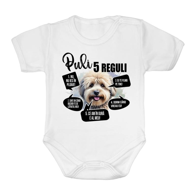 5 Reguli - Puli