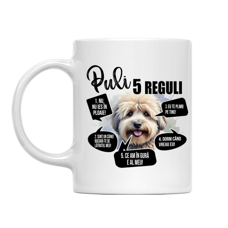 5 Reguli - Puli
