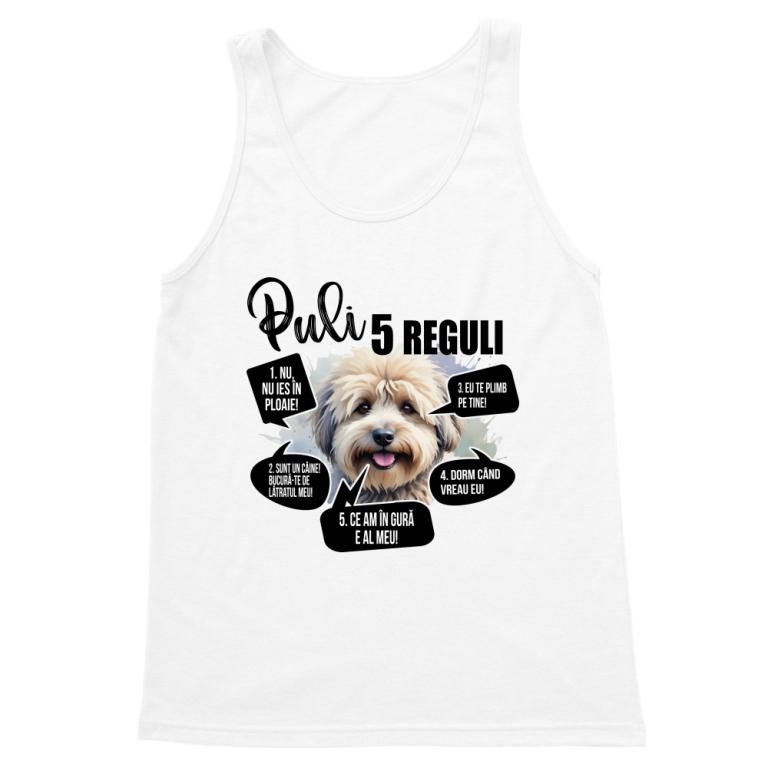 5 Reguli - Puli