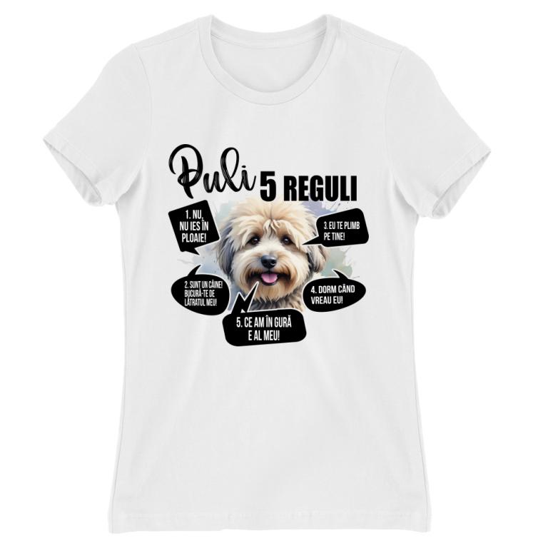 5 Reguli - Puli