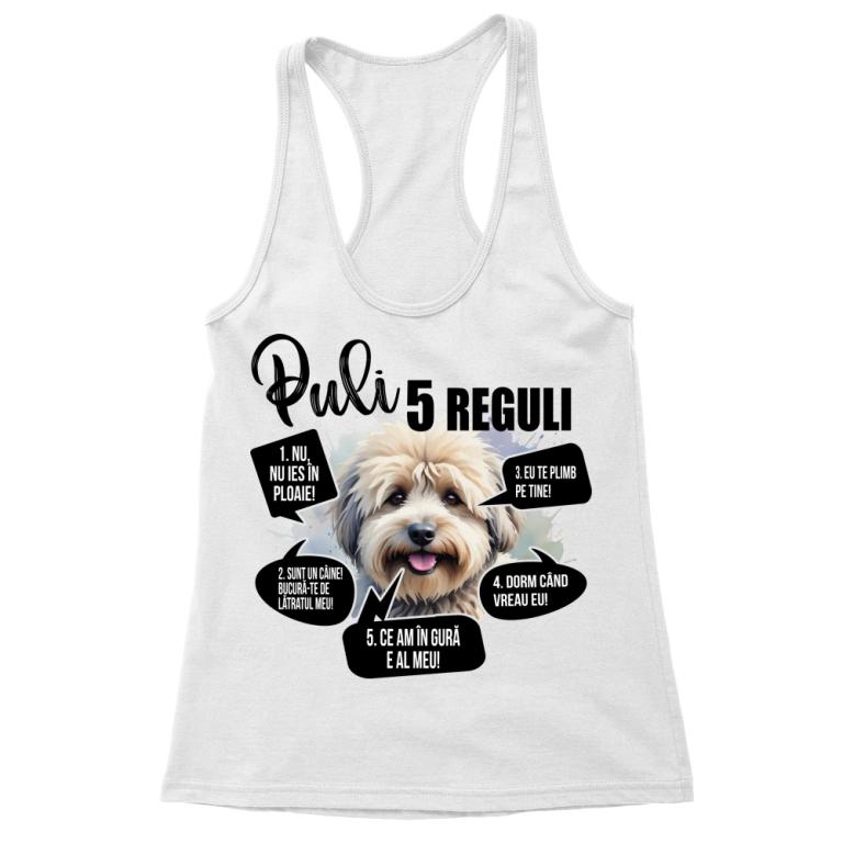 5 Reguli - Puli