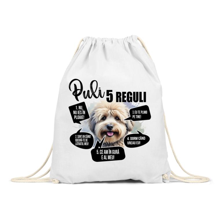 5 Reguli - Puli