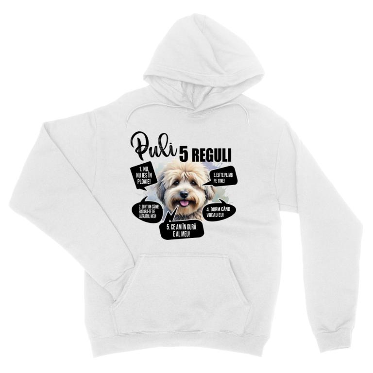 5 Reguli - Puli
