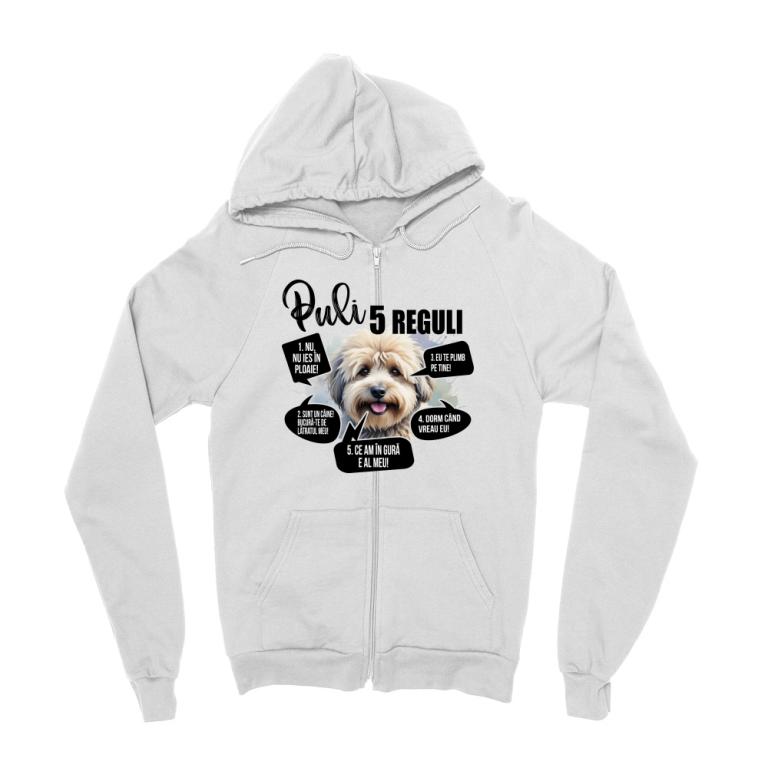 5 Reguli - Puli