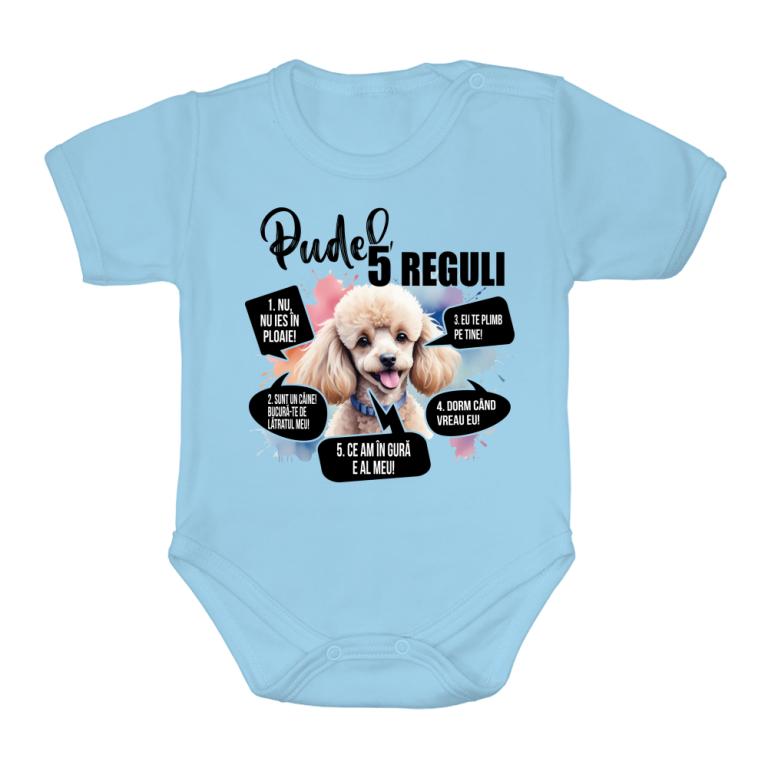5 Reguli - Pudel