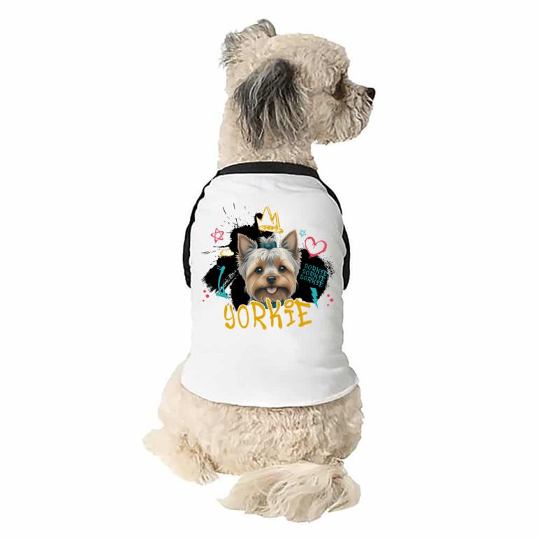 Graffiti - Yorkie