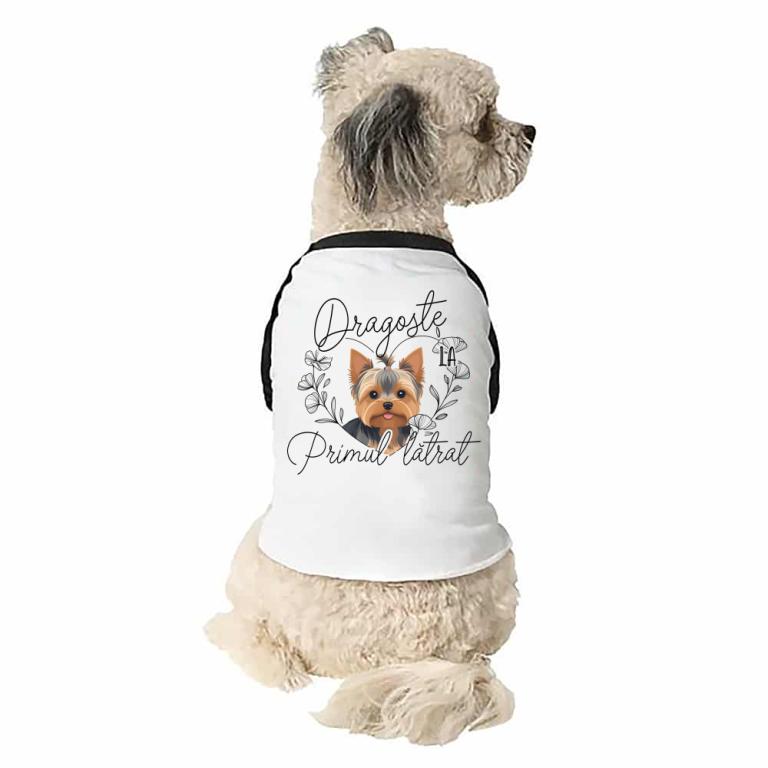 Dragostea la primul - Yorkie