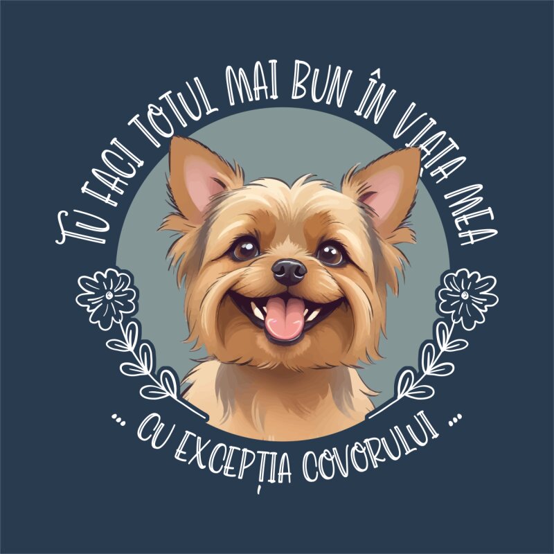 Covor - Yorkie