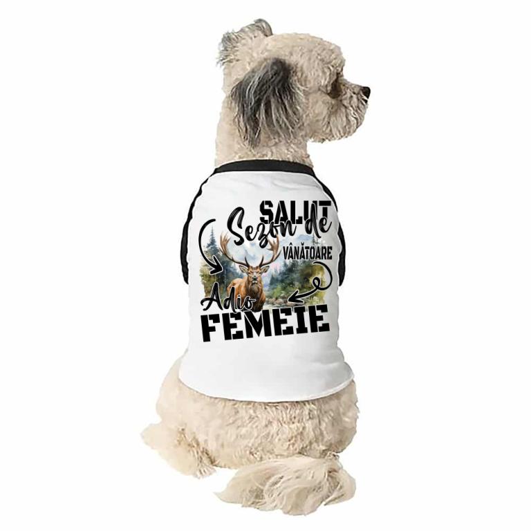 Salut sezon de vânătoare